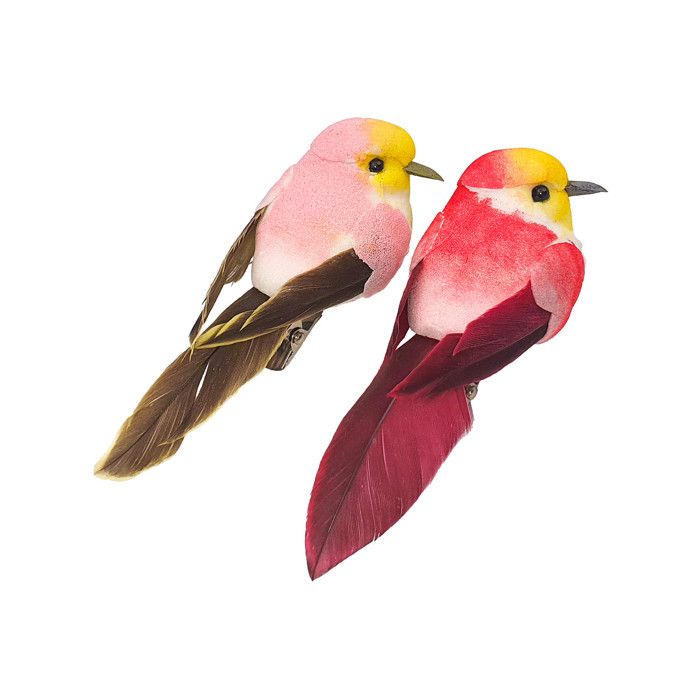 Meilleurs prix pour Oiseaux décoratifs - Multicolore - 2 pièces - 8 x 27 x 3 cm - Décoration intérieure - Style classique