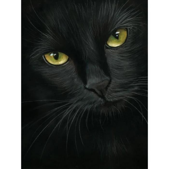 Tableau Toile Peinture Diamant Chat Noir Perceuse Complete Mosaique Decoration Animale Decor Type Ap3 1365 x30cm Square Drill Cdiscount Maison