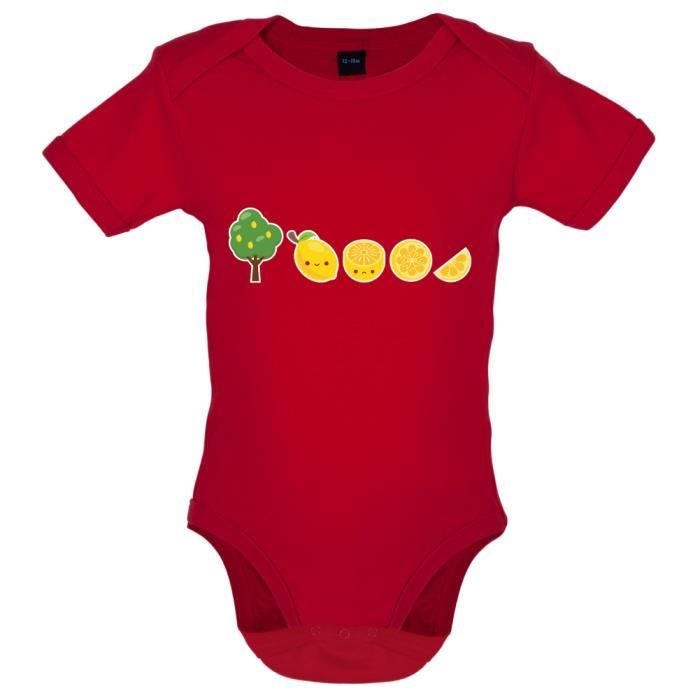Evolution D Un Citron Bebe Body Rouge 12 A 18 Mois Rouge Cdiscount Pret A Porter