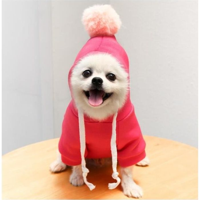 Amazon Veste Pour Petit Chien Manteau Imperméable à Capuche Pour