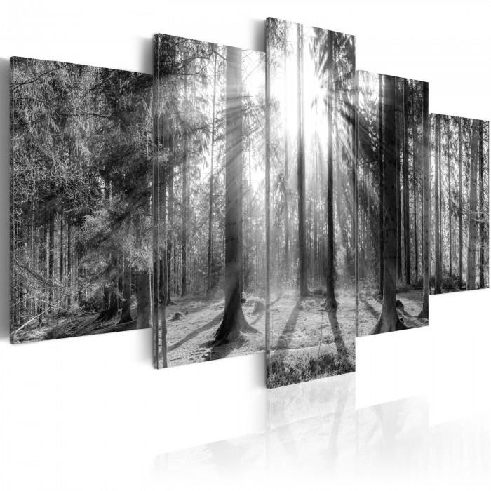 Soldes - Tableau paysage noir et blanc - Interior's