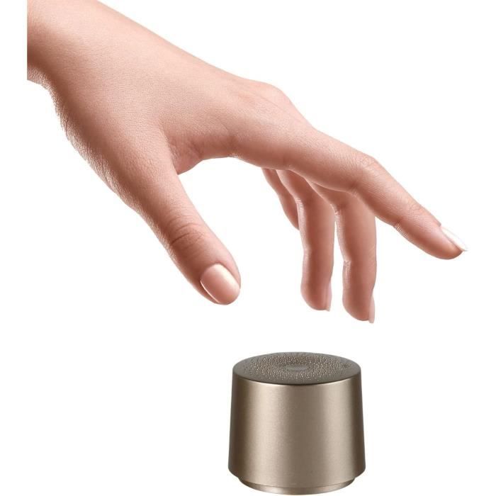 Mini Enceinte Bluetooth Favorever C28 - Argent, Waterproof, Pour Sport Et Outdoor