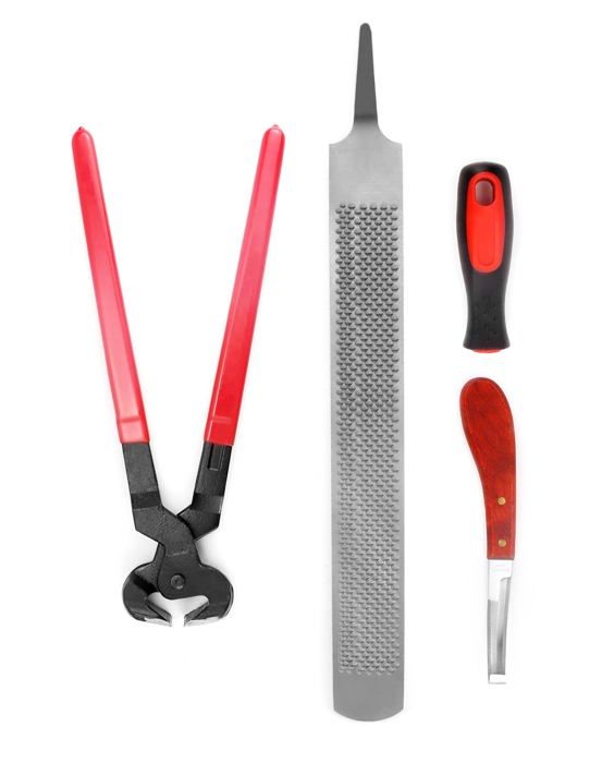 Kit Maréchal Ferrant 25 Pièces Acier - Pince, Râpe, Couteau, Testeur, Set Sabot
