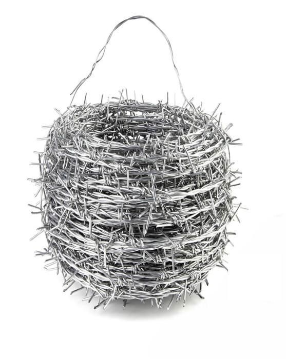 Fil Barbelé Galvanisé 1,6 Mm X 8 M - 4 Pointes Aiguisées, Rouleau Solide Et Flexible Pour Clôture Jardin, Sécurité Balcon, Protection Anti-Intrusion & Bricolage