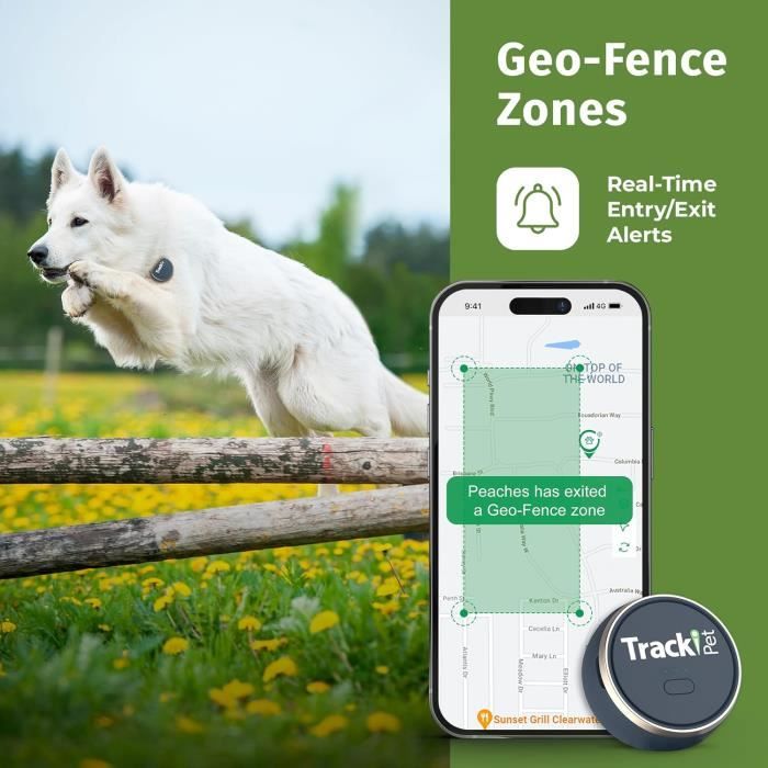 Localisateur GPS G15 étanche Pour Chien Chat - Tracker Collier Temps Réel