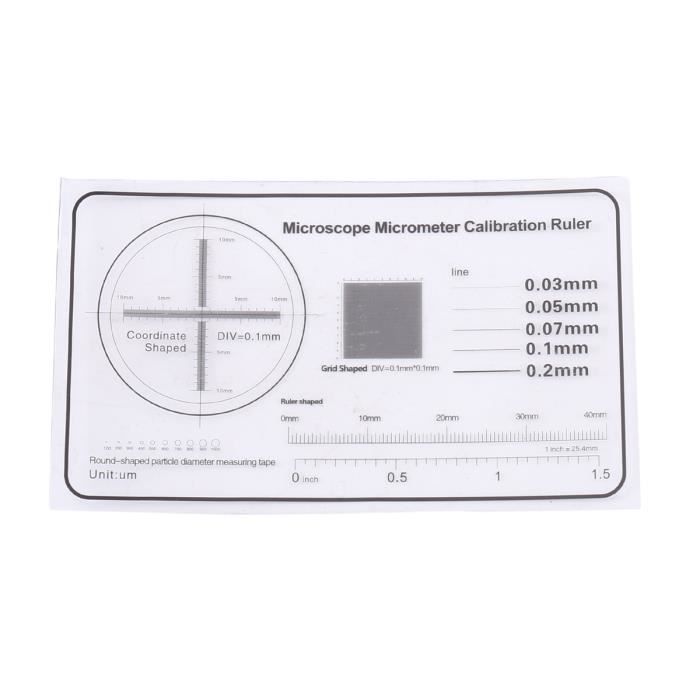 Règle Micromètre / Réticule Pour Microscope - Échelle Ceinture Croisée 0,1 Mm - Précision