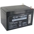 Batterie 12V 440A pour booster de batterie 9201001-0