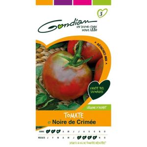 GRAINE - SEMENCE GONDIAN - Graines Légumes : Semences Tomate Noire 