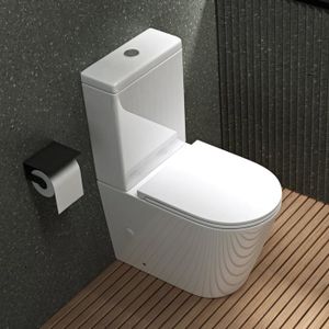 2 Vis de Fixation de WC - Reservoir sur Cuvette 6x80 millimètres NOYON &  THIEBAULT : : Bricolage