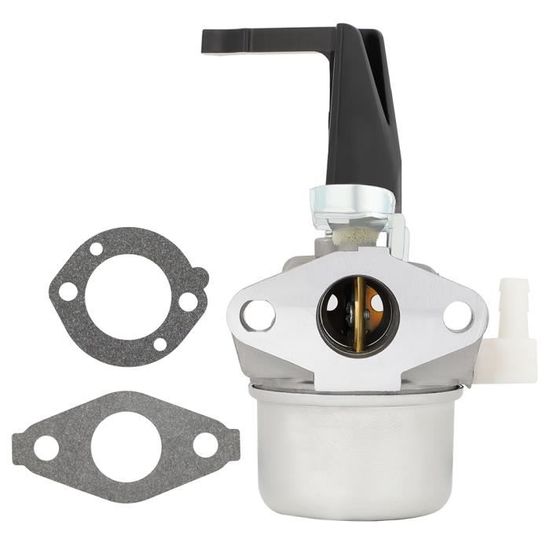 BlueStars Carburateur 696065 697422 - Pour Moteur De Motoculteur BS 110402 110412 215369 5 HP 5