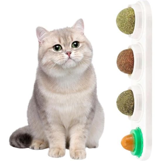 JOUET CATNIP CASTOR HERBE - CHAT VITAKRAFT main image 1