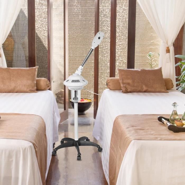 Vapeur Facial Chaud à Un Bras pour Visage Avec Vaporisateur d'Ozone, Spa de Salon de Beauté-bao
