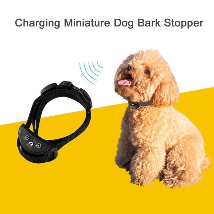Contrôle automatique des aboiements avec collier anti-aboiements pour petits chiens