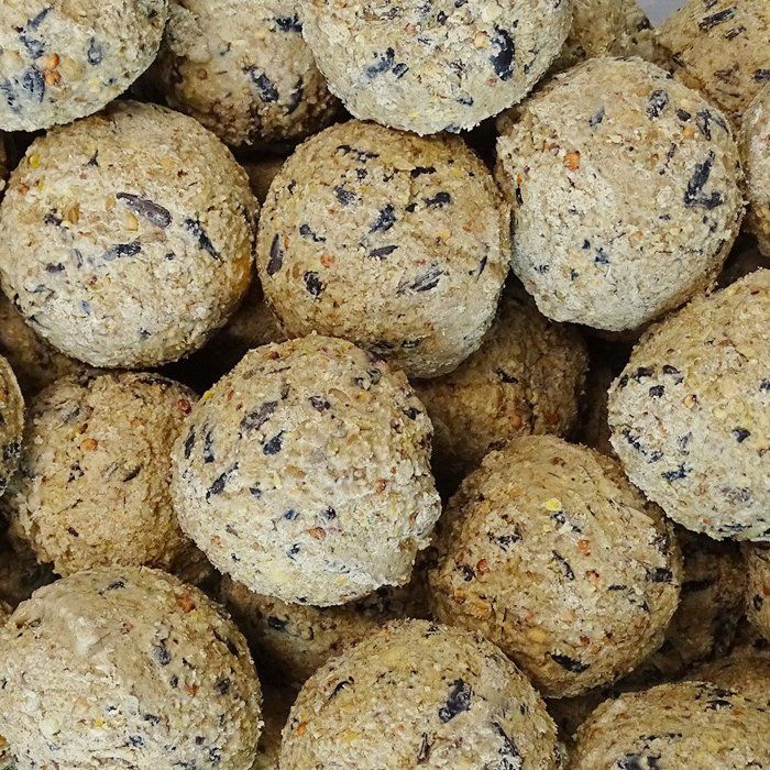 200 boules de graisse pour oiseaux jardin 90 g sans filet écologique ingrédients naturels source d’énergie