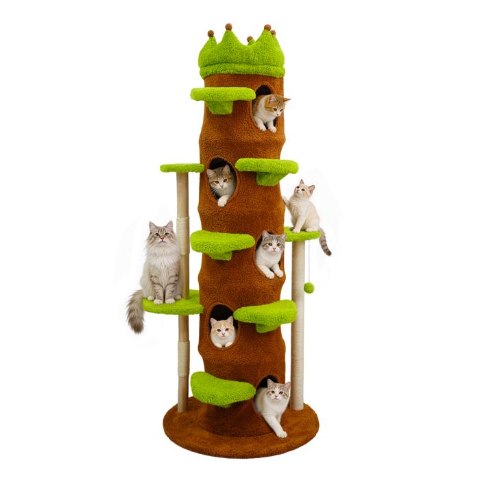 Arbre à Chat Hauteur 187 cm - BingoPaw - Centre dactivités pour Chats avec Griffoir en Sisal - 1 Plateformes avec 3 Niche
