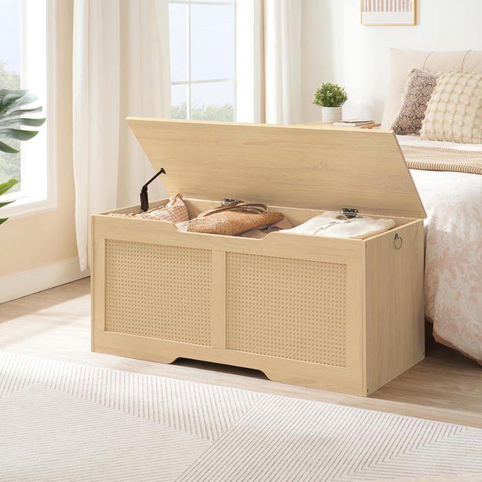 HOOBRO Coffre à Jouets Banc de Rangement Coffre de Rangement avec charnière de Soutien Organisateur à Jouets 110 x 40 x 50 cm