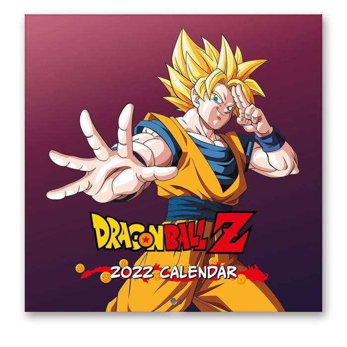 Calendrier De L Avent Manga 2023 Calendrier 2022 Manga - Cdiscount