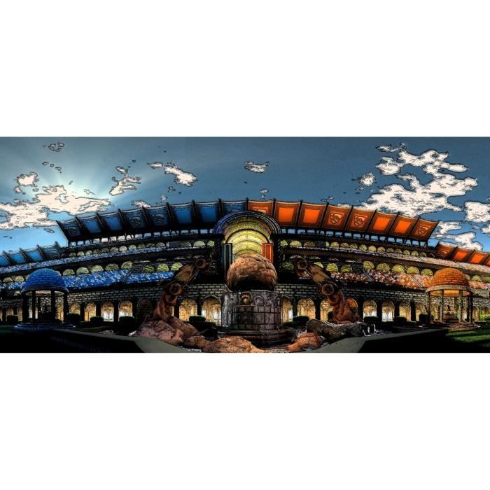 Rocket League Jeu Video Full Hd Fond D Ecran Art Print Silk Poster 24 X 36 Achat Vente Plv Affiche Rocket League Jeu Video Ful Cdiscount