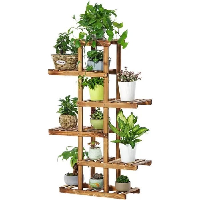 Lot 2 Plantes Bois Porte-Bonheur Brésilien Avec Pot Et Ornements Panda - Hydroponique Chance