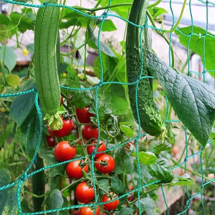 Filet à Ramer Pour Plantes Grimpantes - Treillis Jardin Extensible 60x60cm, Support Tomates, Concombres, Haricots