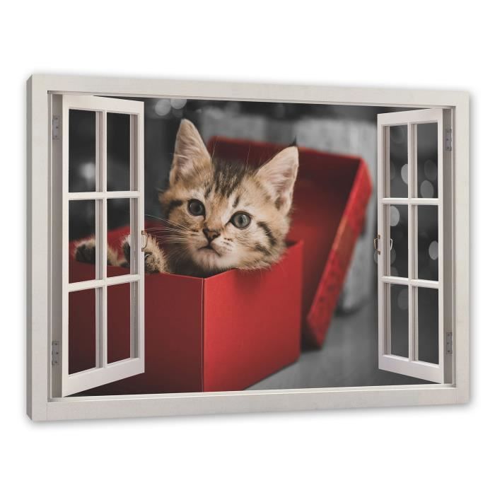Chat Mignon Dans La Boite Fenetre Image Toile Taille 80x60 Cm Peinture Murale Copie D Art Fo Lfy 80x60 Cdiscount Maison Chat Mignon Dans La Boite Fenetre Image Toile Taille 80x60 Cm Peinture Murale Copie D Art Fo Lfy 80x60 Cdiscount Maison