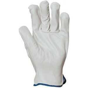 gants de maîtrise tout fleur de buffle - coverguard - lot de 10 - pouce palmé - qualité économique