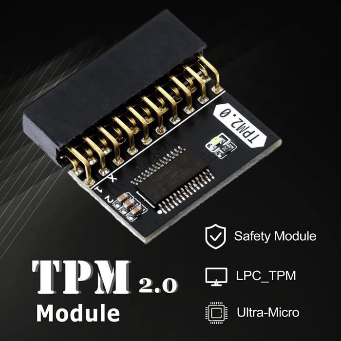 MODULE TPM 14 broches TPM 2.0 pour carte mère ASUS Windows 11 Chip DIY