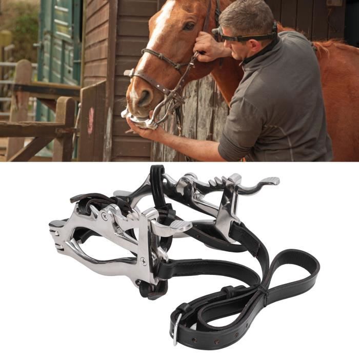 Kit Dentaire équin Complet Avec Spéculum (bâillon) McPherson - Acier Et Cuir, Pour Examen