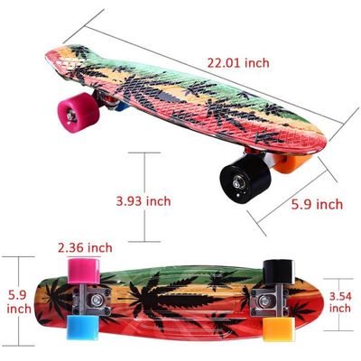 Planche à Roulettes Mini Cruiser Maple Wooden R... - Achat / Vente