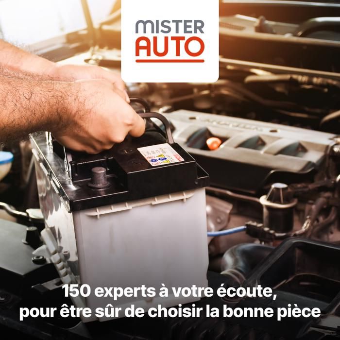 DBS - Tapis de Sol Voiture - sur Mesure - Adapté à Votre Peugeot 207/207 SW / 207 (04/2006-06/2014) Antidérapant : Clips de Fixation et Autogrip - 3 pièces