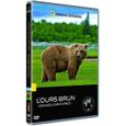 DVD L'ours brun grands carnivores-0