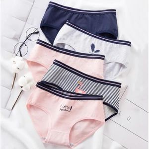 Soldes Culotte Femme Coton Rose - Nos bonnes affaires de janvier