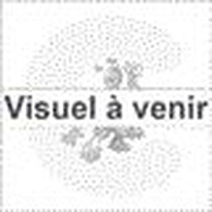 Groupe Filtrant 70 Cm Achat Vente Pas Cher