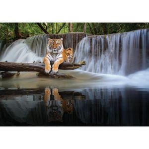 PAPIER PEINT Papier Peint Intissé Panoramique Tigre Chute d'eau