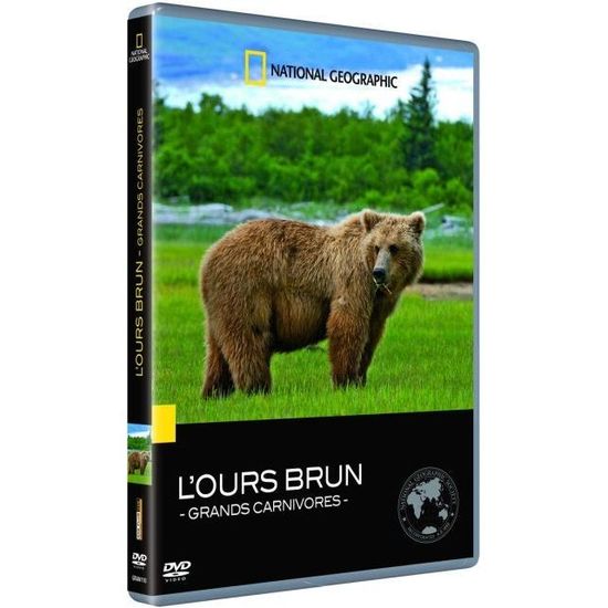 DVD L'ours brun grands carnivores