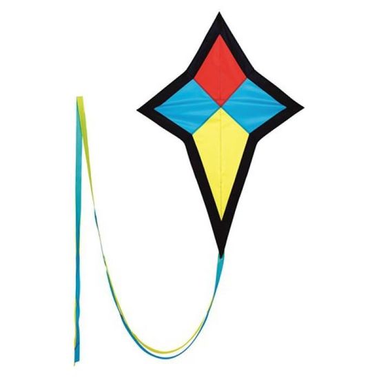 Cerf volant - les bons plans de Micromonde
