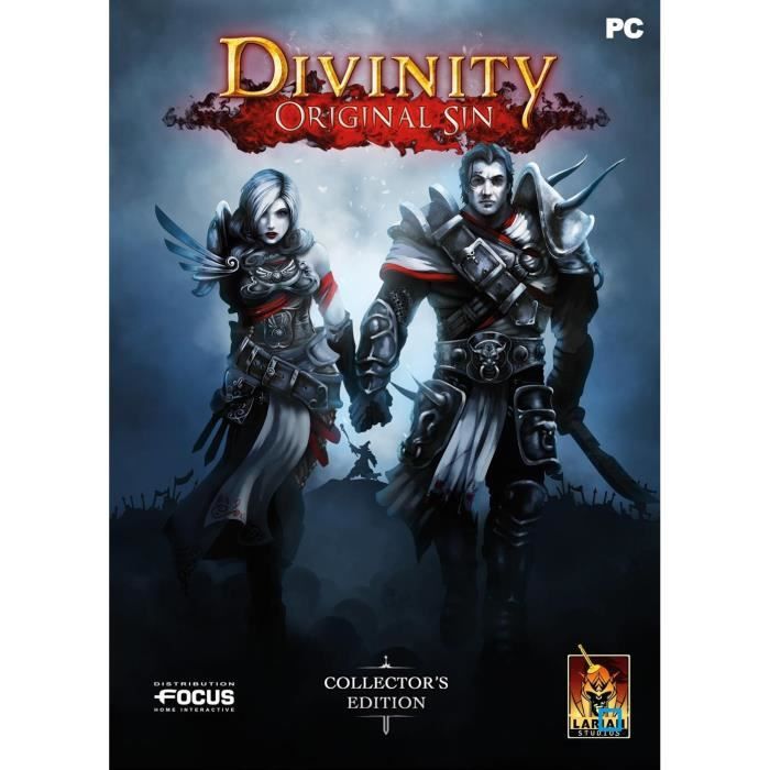 Divinity Original Sin Collector PC