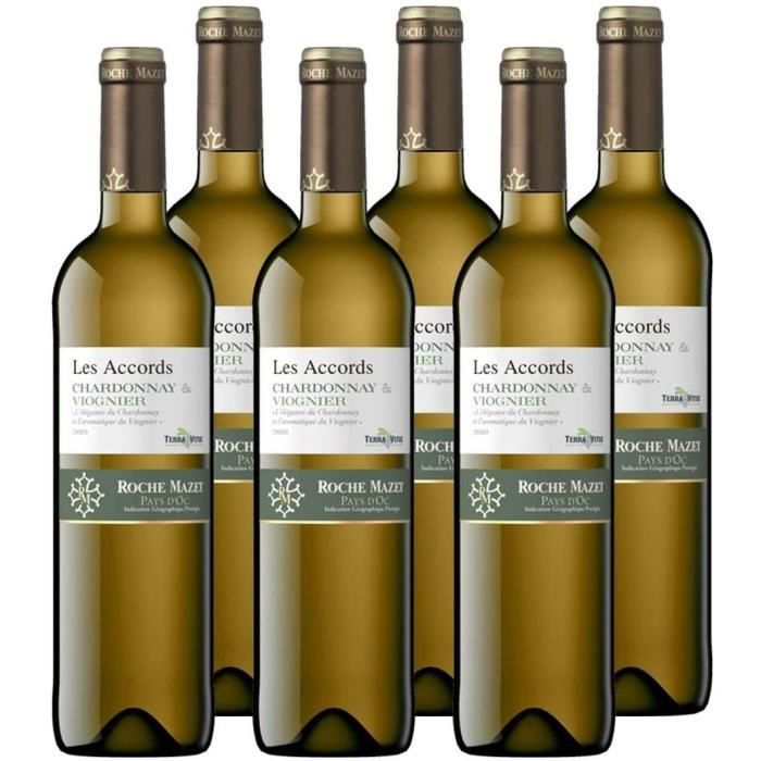 Les Accords de Roche Mazet - Chardonnay Viognier - IGP Pays d’Oc - Vin Blanc - Millésime 2019 - Terra Vitis - Lot de 6 bouteilles x