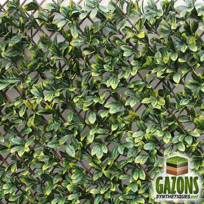 Treillis Extensible Feuilles Laurier Amande 1m x 2m