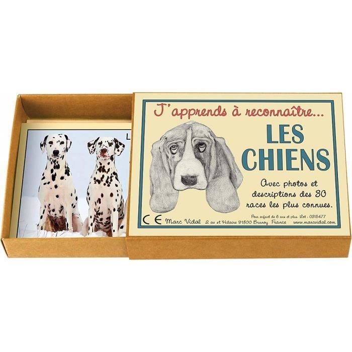 Marc Vidal - J'apprends à Reconnaître les chiens
