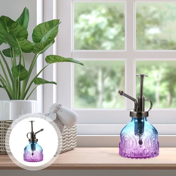 Arrosoir en verre vintage pot vaporisateur pour plantes fleurs d'extérieur d'intérieur BOUILLOIRE ELECTRIQUE