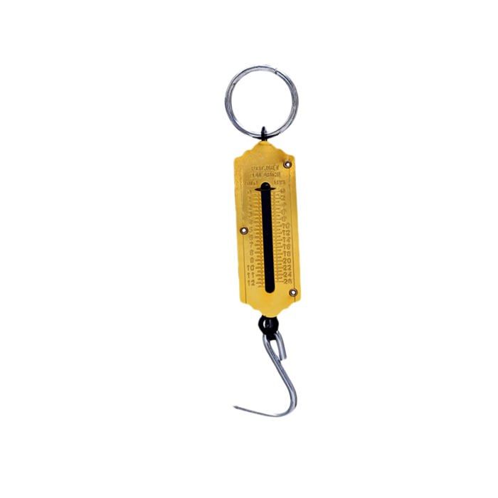 Balance Numérique Pour Bagages Portable Avec Crochet Electronique Lampe Torche Et Metre Ruban 1m Ideale Pour Voyage Peche Et Usage Domestique 94881238