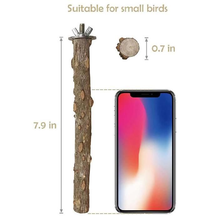 ARAMOX Fournitures pour oiseaux Perchoir à oiseaux en bois 4 pièces jouet suspendu en bois animalerie hygiene Couleur du bois