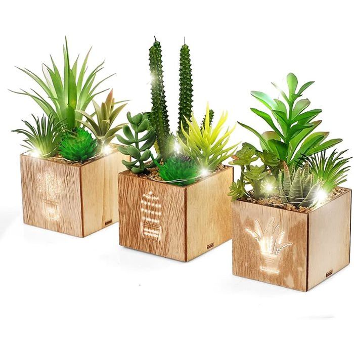 Lot de 3 plantes succulentes artificielles avec lumières LED dans une boîte en bois plantes artificielles en plastique