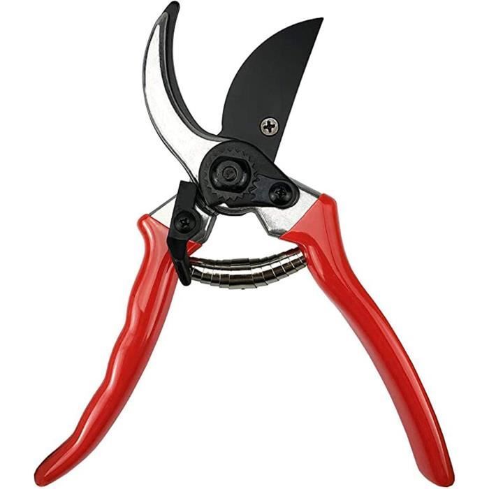 Ciseaux de Coupe Professionnels Ciseaux de Jardin Cisailles d