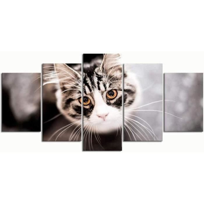 Decoration Murale 5 Pieces Hd Impression Toile Peintures Chat Mignon Gros Yeux Avec Cadre 100x50cm 4 Cdiscount Maison
