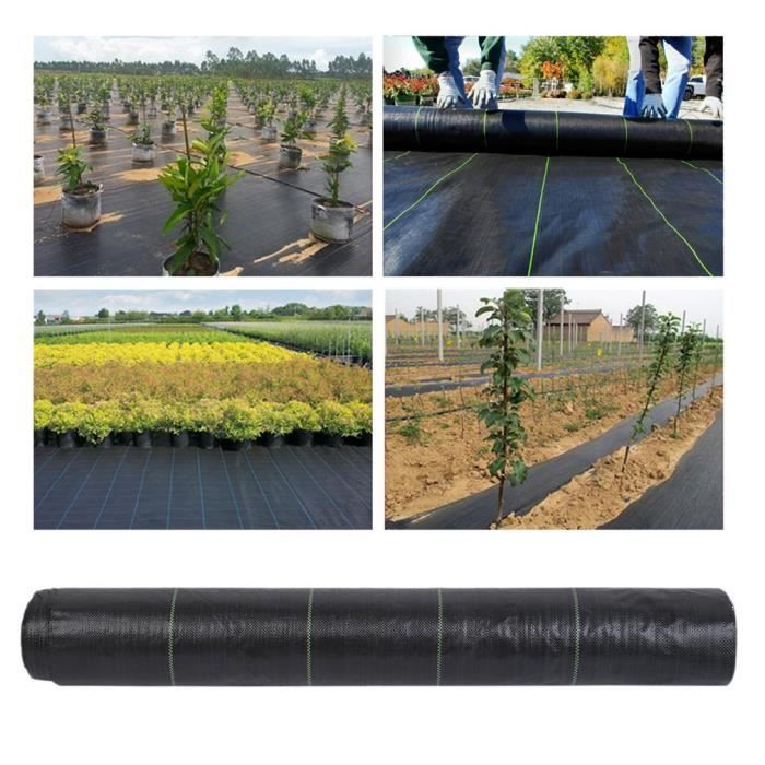 Toile De Paillage Anti-mauvaises Herbes 40m² - Noir, 100g/m², Largeur 1.6m, Perméable à L'air Et à L'eau