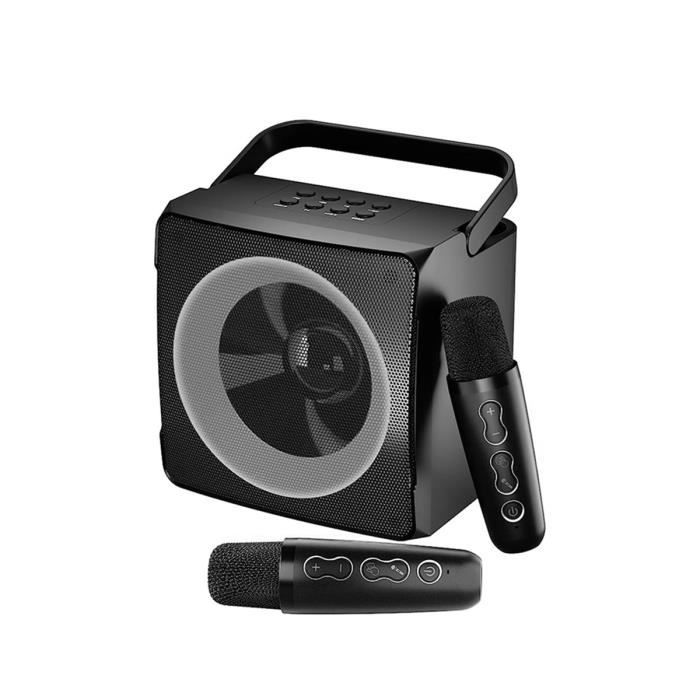 Vonyx AV430B - Kit Karaoké avec Câble Téléphonique et 2 Microphones - Noir Vonyx AV430B - Kit Karaoké avec Câble Téléphonique et 2 Microphones - Noir