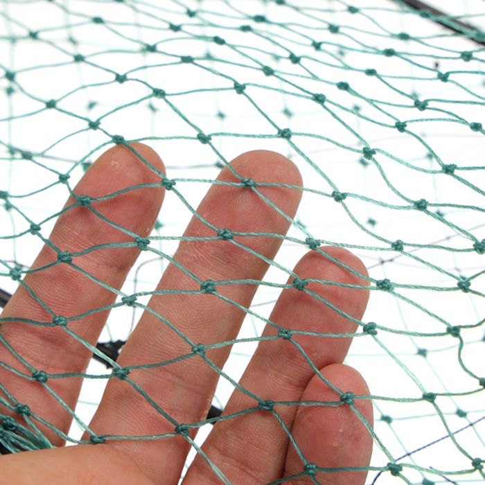 Filet de capture d'oiseaux, lutte antiparasitaire, piège vivant sans — free download
