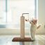 Arbre A Chat Griffoir Chats Colonne De Grattage Chat Avec Le Jouet Prefere Du Chat Satisfaisant La Curiosite Du Chat 39cm Cdiscount Animalerie Arbre A Chat Griffoir Chats Colonne De Grattage Chat Avec Le Jouet Prefere Du Chat Satisfaisant La Curiosite Du Chat 39cm Cdiscount Animalerie
